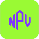 npv国内VPN